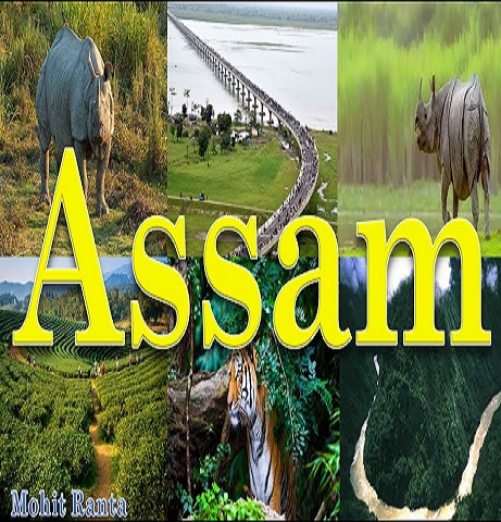 Assam Tour Packages Tour Packages