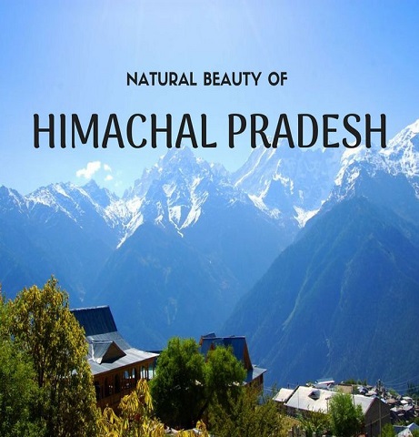 Himachal Pradesh Tour Packages Tour Packages